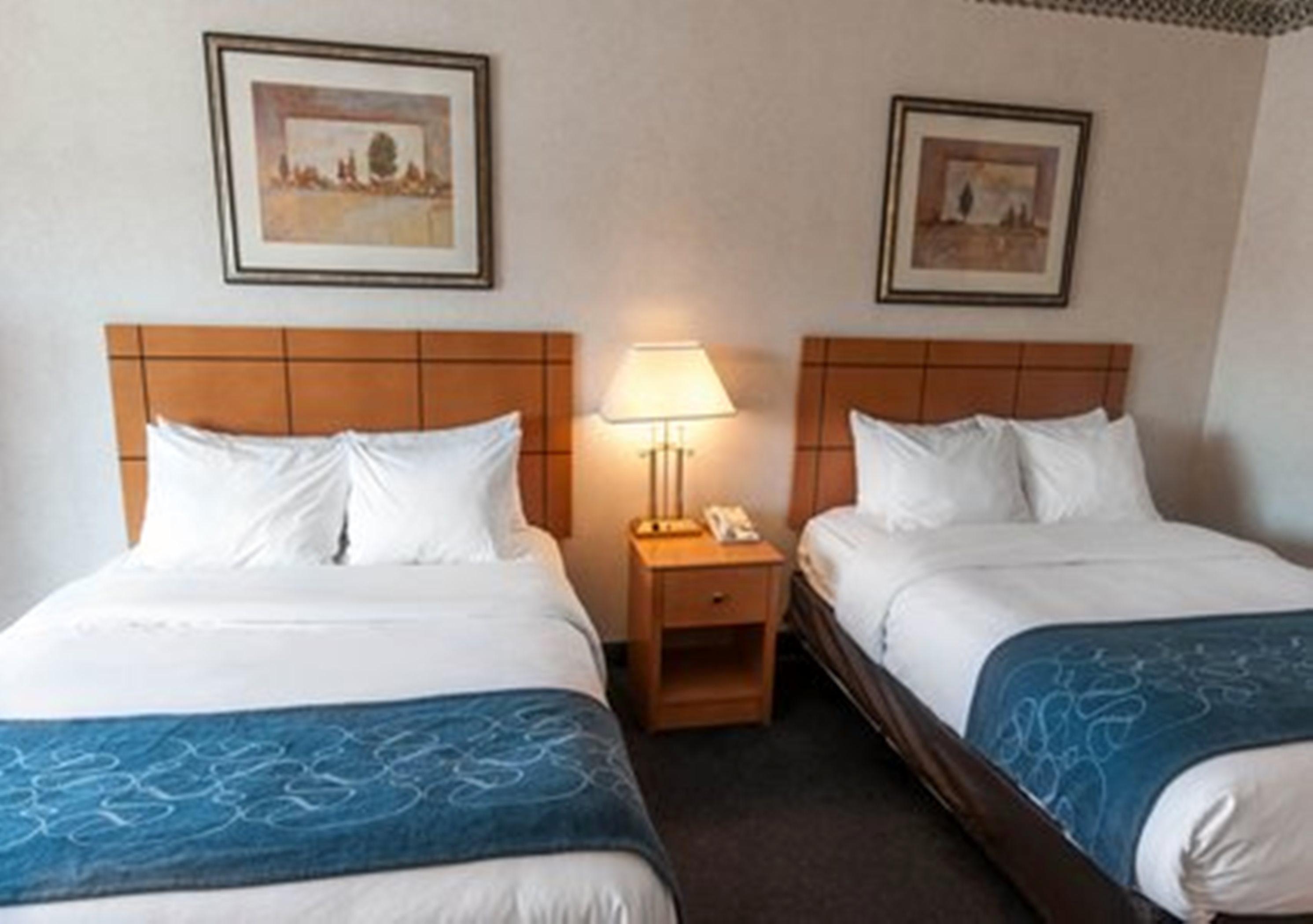 Comfort Suites University Las Cruces Rom bilde